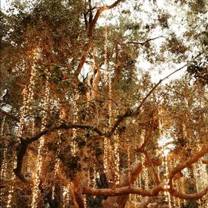 Meet your Posher, Krista